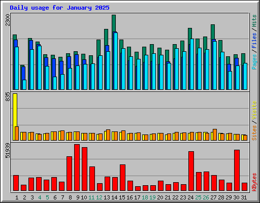 Daily usage for January 2025