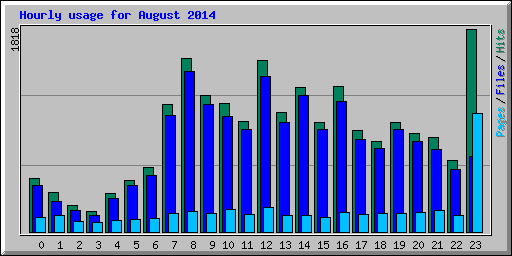 Hourly usage for August 2014