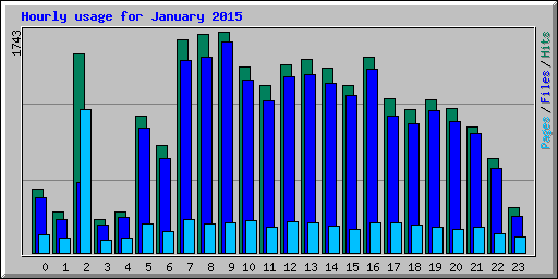 Hourly usage for January 2015