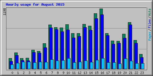 Hourly usage for August 2015