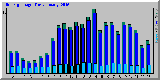Hourly usage for January 2016