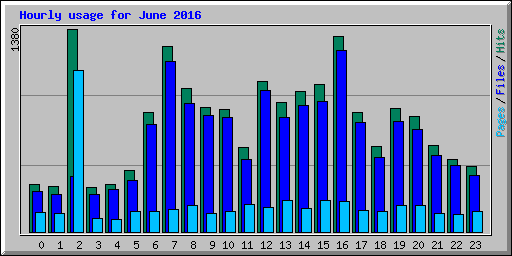 Hourly usage for June 2016