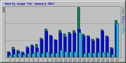 Hourly usage for January 2017