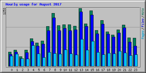 Hourly usage for August 2017