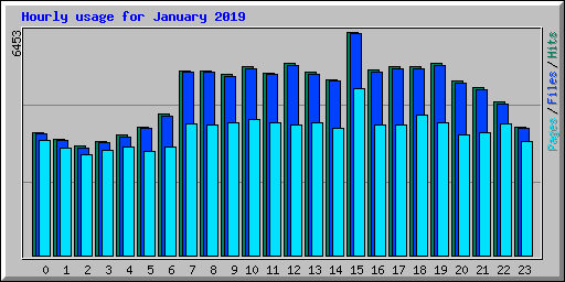Hourly usage for January 2019