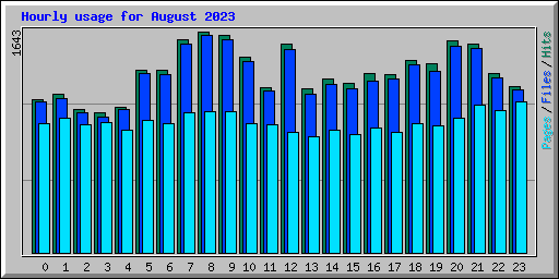 Hourly usage for August 2023
