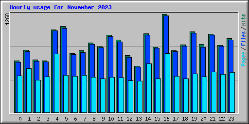 Hourly usage for November 2023