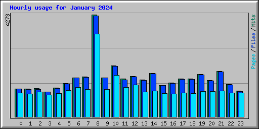 Hourly usage for January 2024