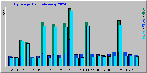 Hourly usage for February 2024