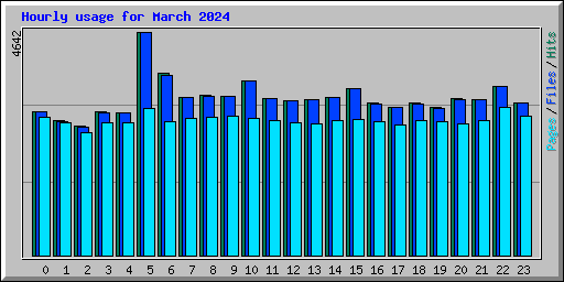 Hourly usage for March 2024