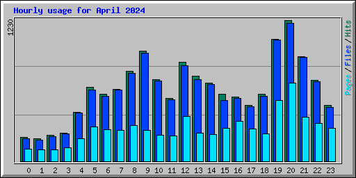 Hourly usage for April 2024