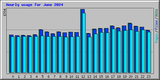 Hourly usage for June 2024