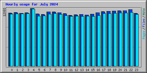 Hourly usage for July 2024