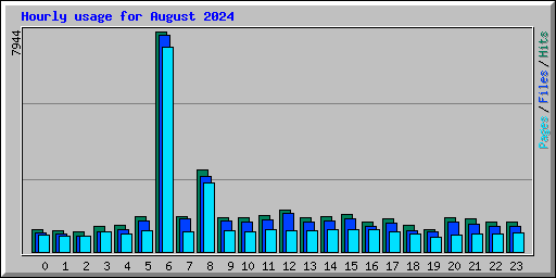 Hourly usage for August 2024