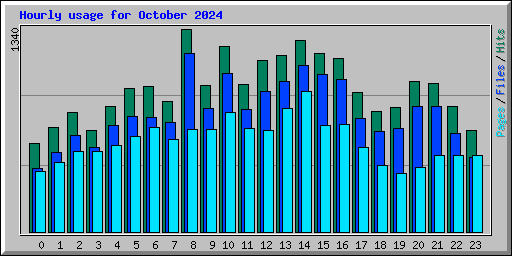 Hourly usage for October 2024