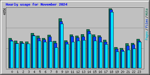 Hourly usage for November 2024