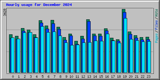 Hourly usage for December 2024