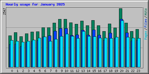 Hourly usage for January 2025