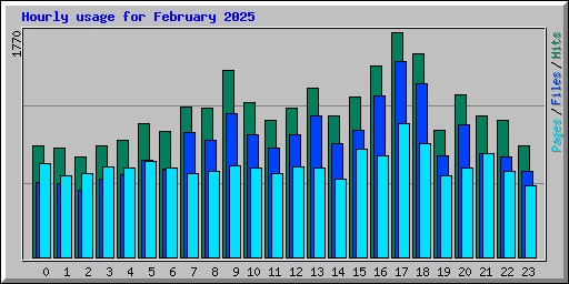 Hourly usage for February 2025