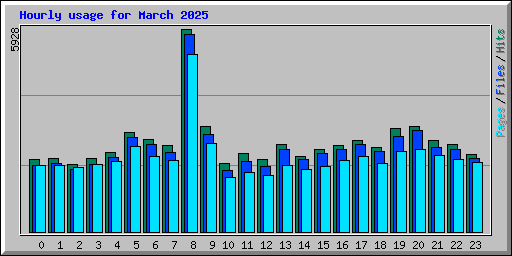 Hourly usage for March 2025