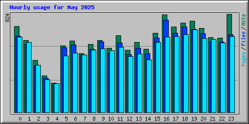 Hourly usage for May 2025