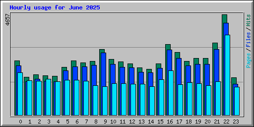Hourly usage for June 2025
