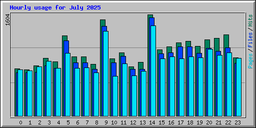 Hourly usage for July 2025