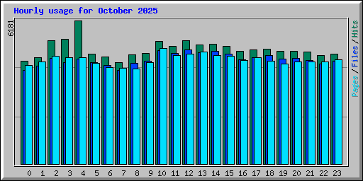 Hourly usage for October 2025