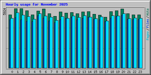 Hourly usage for November 2025