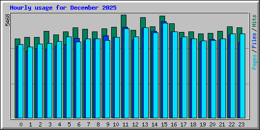 Hourly usage for December 2025