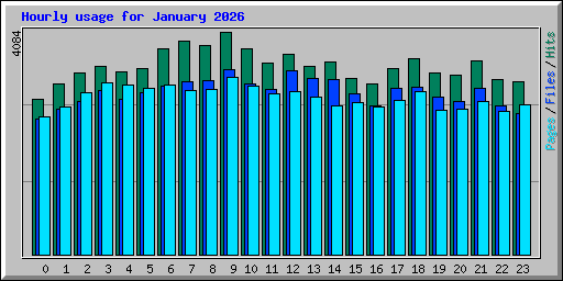 Hourly usage for January 2026