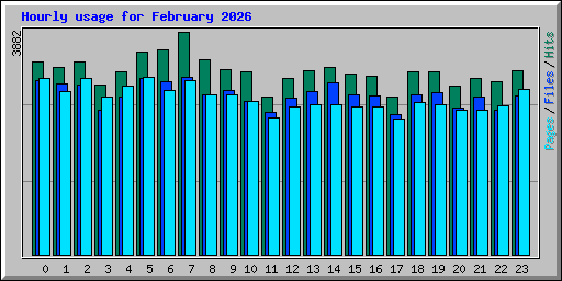 Hourly usage for February 2026