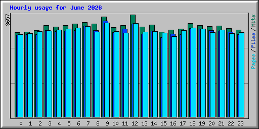 Hourly usage for June 2026